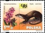 动物:欧洲:波兰:pl200106.jpg
