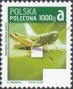 动物:欧洲:波兰:pl201307.jpg
