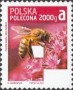 动物:欧洲:波兰:pl201312.jpg