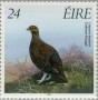 动物:欧洲:爱尔兰:ie198901.jpg