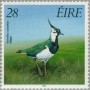 动物:欧洲:爱尔兰:ie198902.jpg