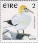 动物:欧洲:爱尔兰:ie199702.jpg