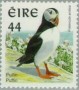 动物:欧洲:爱尔兰:ie199708.jpg