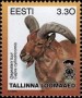 动物:欧洲:爱沙尼亚:ee199706.jpg