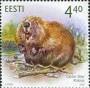 动物:欧洲:爱沙尼亚:ee200502.jpg