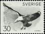 动物:欧洲:瑞典:se196803.jpg