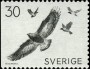 动物:欧洲:瑞典:se196805.jpg
