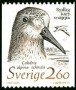 动物:欧洲:瑞典:se198904.jpg