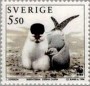 动物:欧洲:瑞典:se199401.jpg