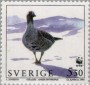 动物:欧洲:瑞典:se199404.jpg