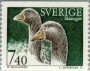 动物:欧洲:瑞典:se199501.jpg