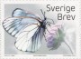 动物:欧洲:瑞典:se201702.jpg