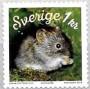 动物:欧洲:瑞典:se201801.jpg
