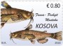 动物:欧洲:科索沃:xk202203.jpg