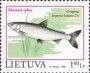 动物:欧洲:立陶宛:lt199801.jpg