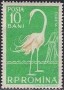 动物:欧洲:罗马尼亚:ro195702.jpg