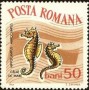 动物:欧洲:罗马尼亚:ro196405.jpg