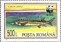 动物:欧洲:罗马尼亚:ro199403.jpg