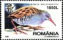 动物:欧洲:罗马尼亚:ro199803.jpg
