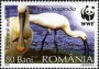 动物:欧洲:罗马尼亚:ro200603.jpg