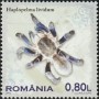 动物:欧洲:罗马尼亚:ro201002.jpg