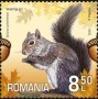 动物:欧洲:罗马尼亚:ro202015.jpg