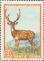 动物:欧洲:苏联:ussr195702.jpg