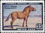 动物:欧洲:苏联:ussr195906.jpg