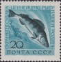 动物:欧洲:苏联:ussr196002.jpg