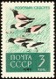 动物:欧洲:苏联:ussr196203.jpg