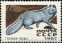 动物:欧洲:苏联:ussr196701.jpg