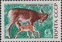 动物:欧洲:苏联:ussr196902.jpg