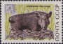 动物:欧洲:苏联:ussr196905.jpg