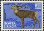 动物:欧洲:苏联:ussr197004.jpg