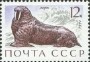 动物:欧洲:苏联:ussr197104.jpg