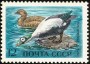 动物:欧洲:苏联:ussr197204.jpg