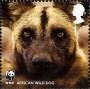 动物:欧洲:英国:uk201109.jpg