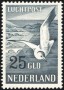 动物:欧洲:荷兰:nl195102.jpg