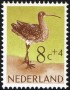 动物:欧洲:荷兰:nl196101.jpg