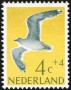 动物:欧洲:荷兰:nl196103.jpg