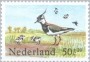 动物:欧洲:荷兰:nl198403.jpg