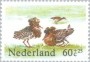 动物:欧洲:荷兰:nl198404.jpg