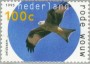 动物:欧洲:荷兰:nl199503.jpg