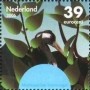 动物:欧洲:荷兰:nl200604.jpg