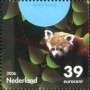 动物:欧洲:荷兰:nl200608.jpg