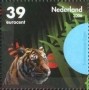 动物:欧洲:荷兰:nl200610.jpg