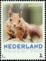 动物:欧洲:荷兰:nl201301.jpg