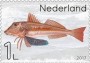 动物:欧洲:荷兰:nl201702.jpg