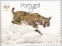 动物:欧洲:葡萄牙:pt198801.jpg