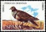 动物:欧洲:西班牙:es197301.jpg